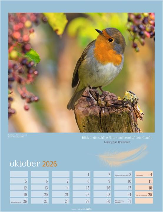 Produktbild Heimische Vögel Kalender 2026 (30 x 39 cm, Deutsch)