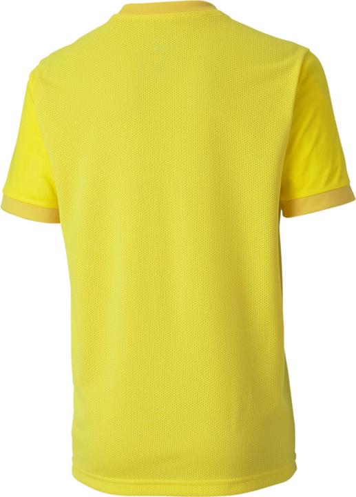 Actual product image Puma teamGOAL 23 Jersey jr-704160 (128)