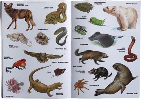 Actual product image Generic Deadly Creatures Reusable Stickers (Pack of 20)