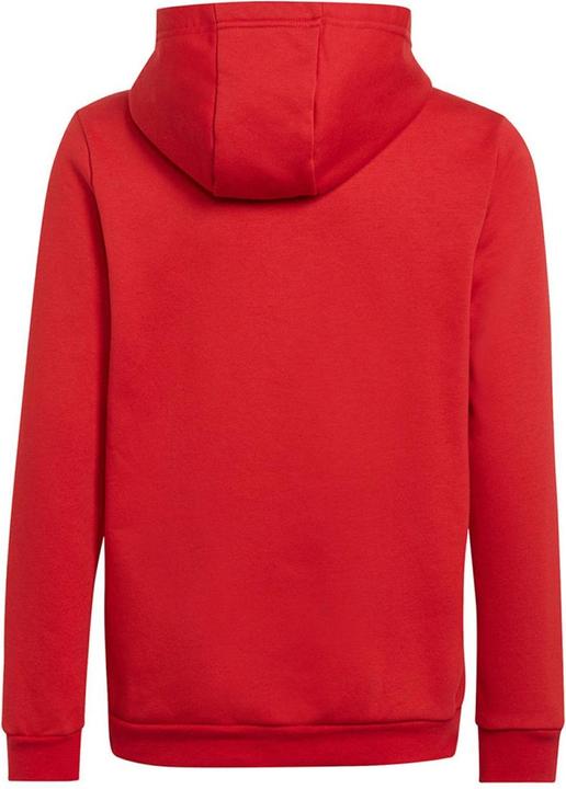 Produktbild Adidas Entrada 22 Kapuzenpullover (128)