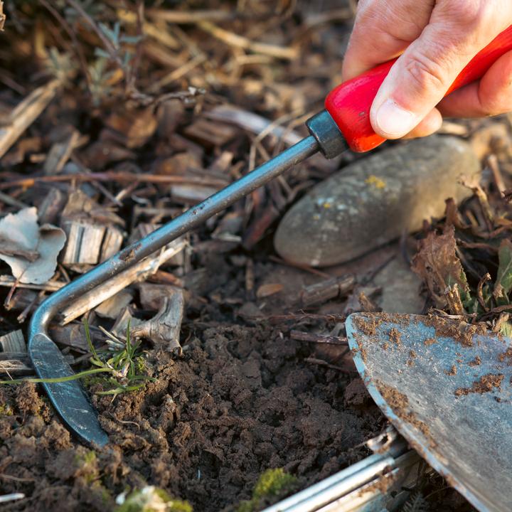 Actual product image Felco 421 Weeder