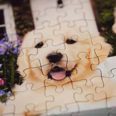 Actual product image Ravensburger Puzzle 12001368 - Golden Retriever - Puzzle for older people and seniors, with 200 pieces (200 pieces)