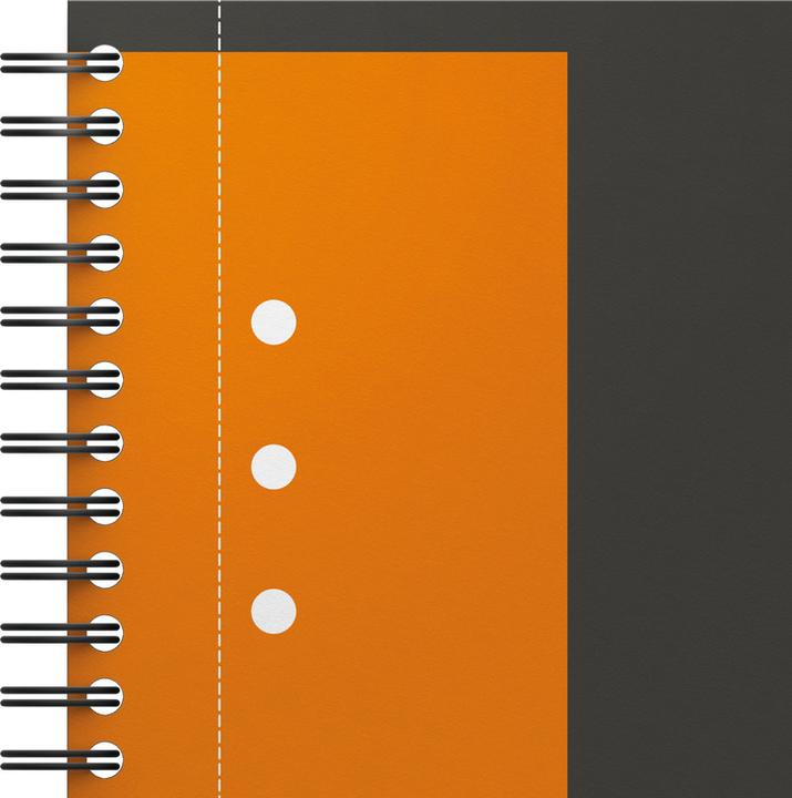 Actual product image Oxford Activebook (A5+, Checked, Soft cover)