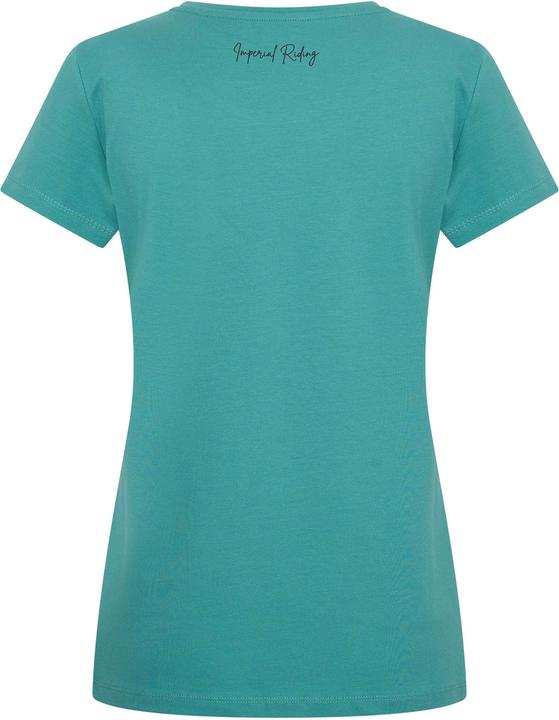 Produktbild Imperial Riding Dictionary (L)