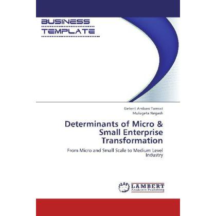 Determinants of Micro & Small Enterprise Transformation, Fachbücher