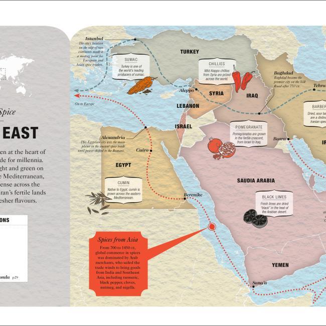 Produktbild The Science Of Spice (Englisch, Stuart Farrimond, 2018)