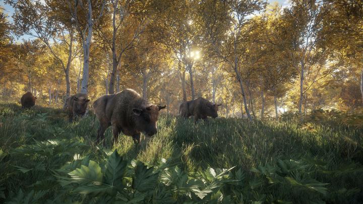 Produktbild THQ PS4 The Hunter Call of the Wild (PS4, FR, EN)