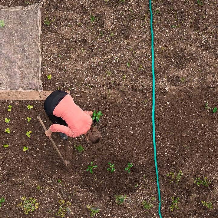 Actual product image Relaxdays Irrigation hose (25 m)