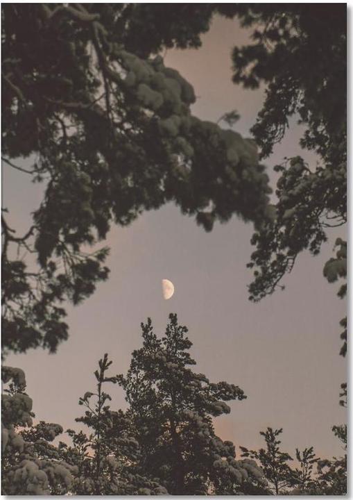 Immagine prodotto Juniqe La Luna - Alberi (A4, Nessuna)