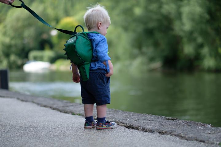 Actual product image Littlelife Toddler Backpack