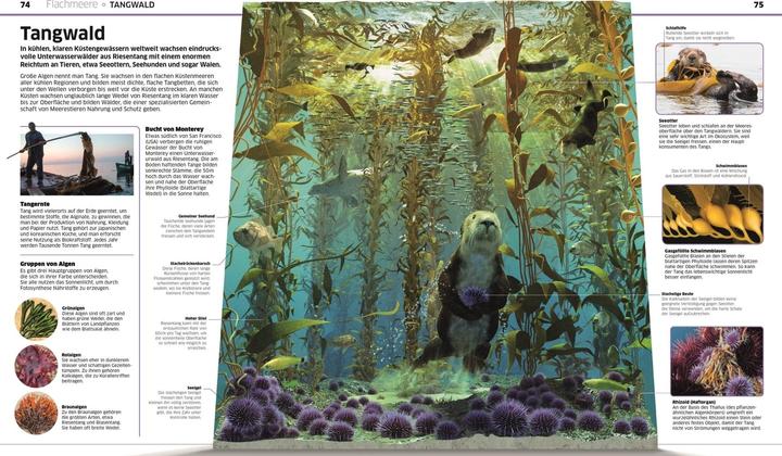 Actual product image Wissen. Ozeane (German, John Woodward, Derek Harvey., Nicola Temple, 2021)