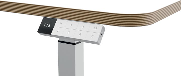 Actual product image Leitz Ergo Compact Workstation Electric height-adjustable desk (80 x 60 x 130 cm)