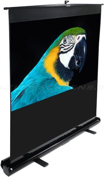 Actual product image Elite Screens ezCinema (150", 4:3)
