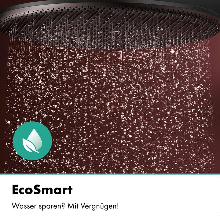 Actual product image hansgrohe Raindance Alive S PURO système de douche 300 1jet EcoSmart avec élément Ecostat, 24593670, 24593670