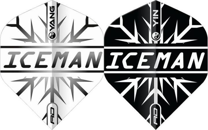 Red Dragon Gerwyn Price Schwarz und Weiss Yin Yang Flights