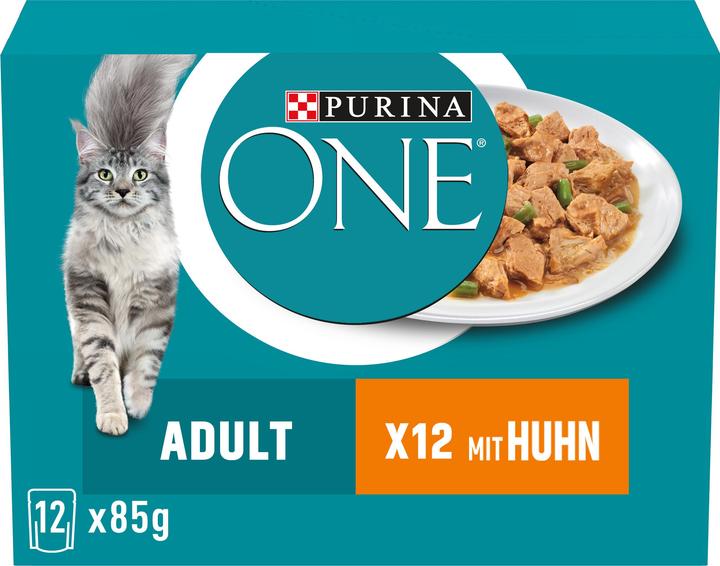 Purina ONE Adulte (Adulte, 1 pcs, 1020 g)