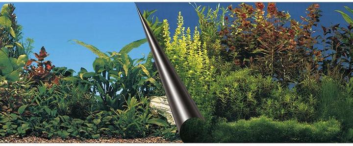 EBI Photo Rückwand Beauty + Sea Zuschnitt (Dekoration, sonstige Gegenstände)