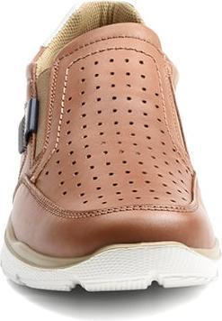 Immagine prodotto Ara 3114533 (40)