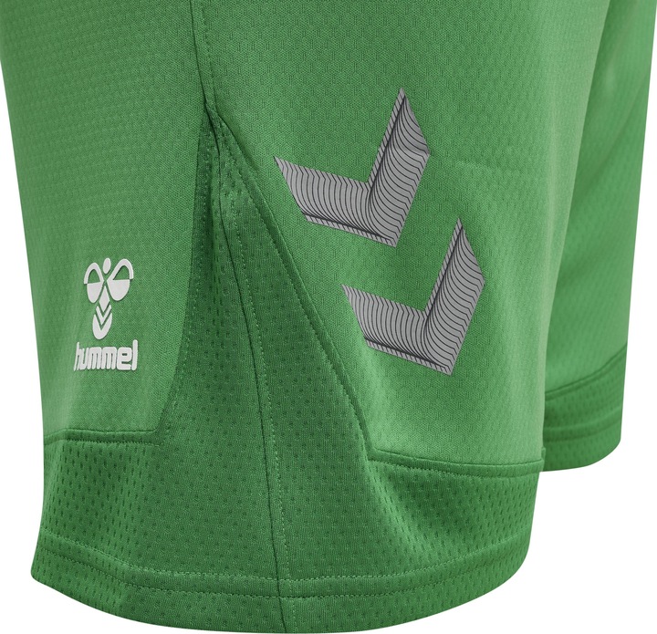 Actual product image hummel Lead Poly Shorts (S)