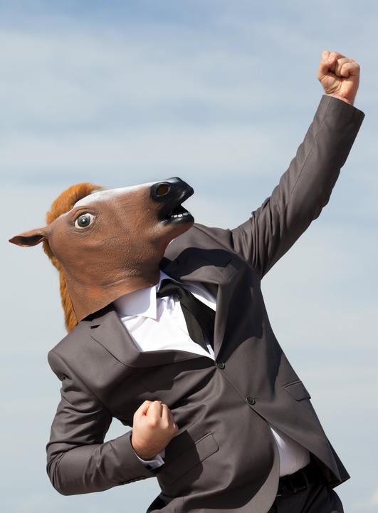 Produktbild Metamorph Pferdemaske braun