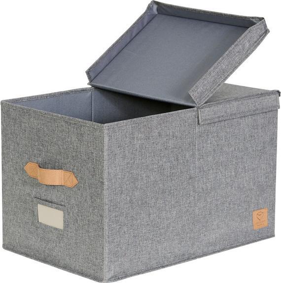 Image du produit Love it Store it Boîte à couvercle rabattable Premium - XL (50 x 33 x 32,5 cm, 52.80 l)