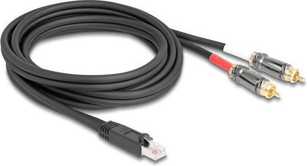 Image du produit Delock Câble adaptateur RJ45 mâle vers 2 x RCA mâles noir 2 m (88171)