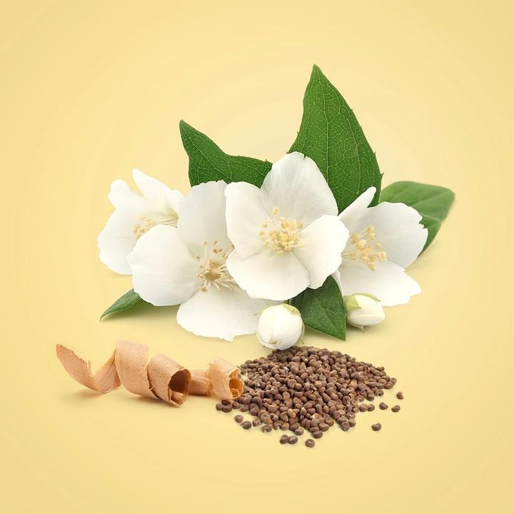 Produktbild Calvin Klein Beauty (Eau de Parfum, 50 ml)