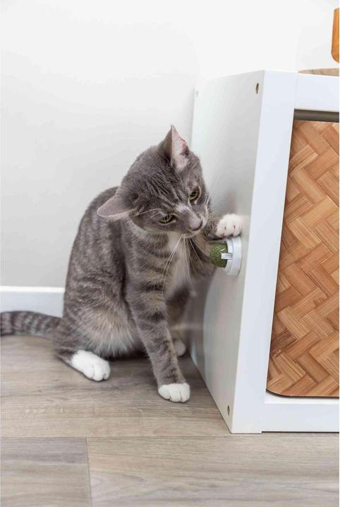 Immagine prodotto Trixie Palla di erba gatta (Palla giocattolo per gatti)