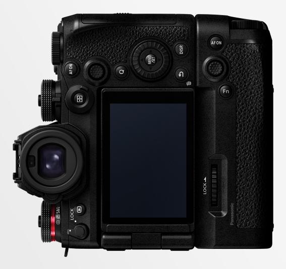 Immagine prodotto Panasonic DMW-BG2E (Maniglia della batteria)