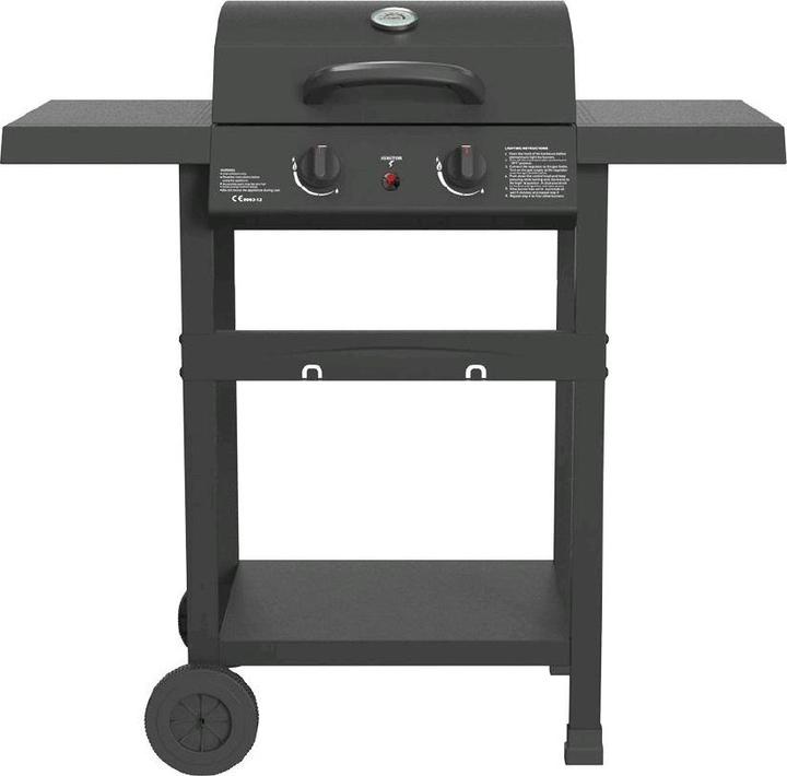 Actual product image Mr. Grill Gasgrill EasyFire 2 Brenner (5 kW)