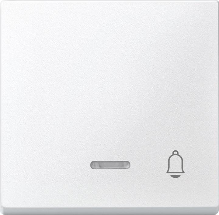 Actual product image Merten Control rocker switch system M polws mt 430819