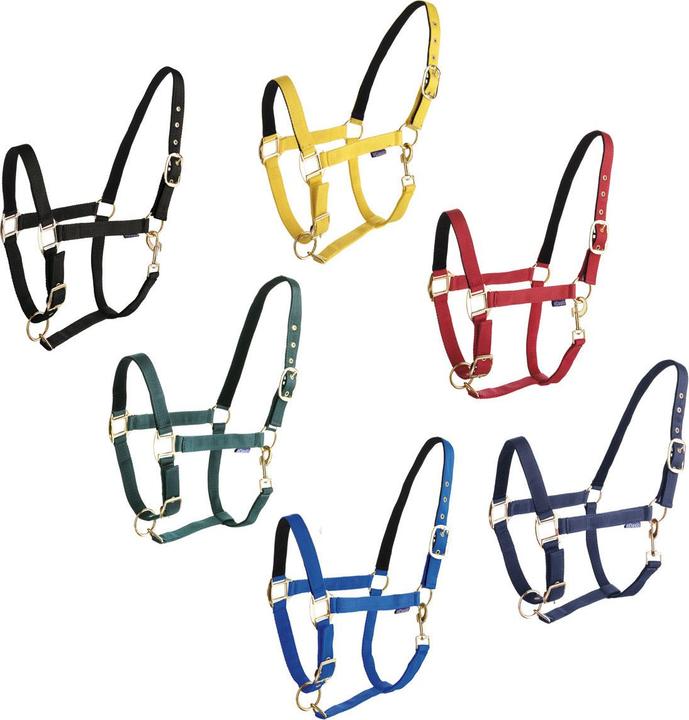 Produktbild Daslö Halfter mit Nubuckfutter