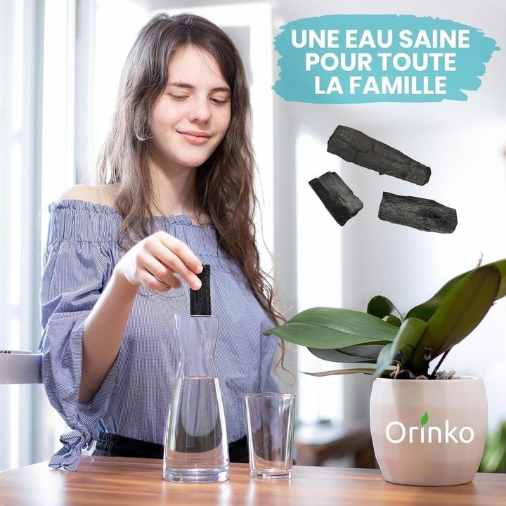 Actual product image Orinko Japanese Binchotan activated carbon Wakayama