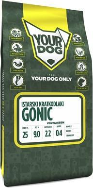 Produktbild Yourdog Istarski Kratkodlaki Gonic Volwassen (3050 g)