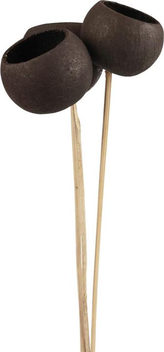 Produktbild Viana Bell Cups (7 cm)
