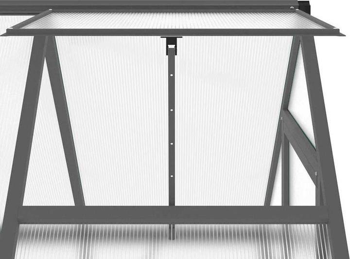 Actual product image vidaXL Gewächshaus