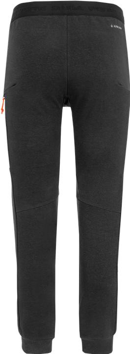 Produktbild Salewa Lavaredo Hemp Train Hose (XXL)