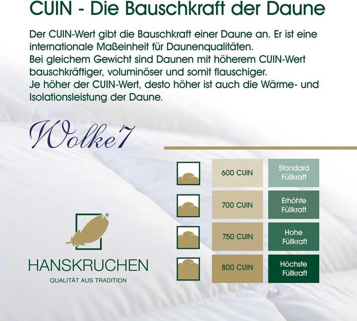 Actual product image Hanskruchen Wolke 7 (290 g, 155 x 200 cm)