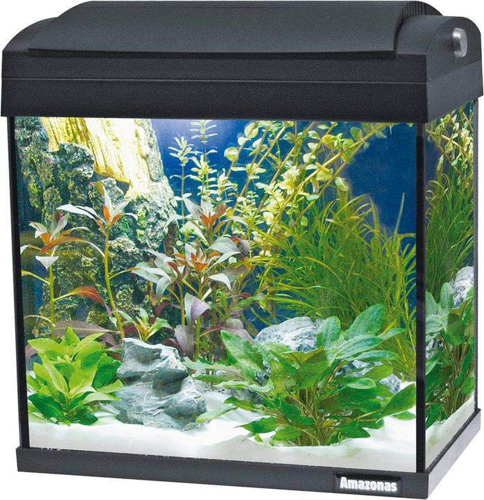Amazonas F31 (24 l)