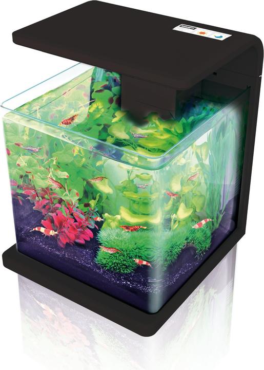 Schwarz, Transparent