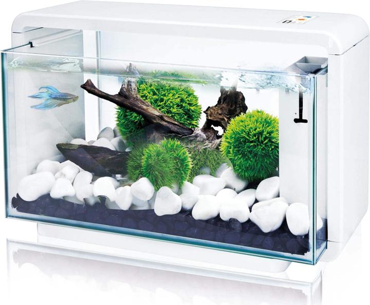 Image du produit Amazonas World Couvercle de remplacement avec lampe LED pour aquarium E-25 (LED)