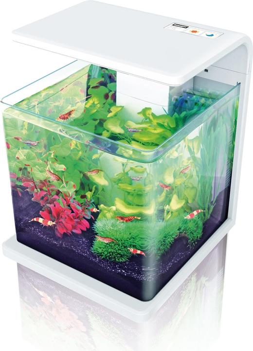 Amazonas World E-15 (15 l)