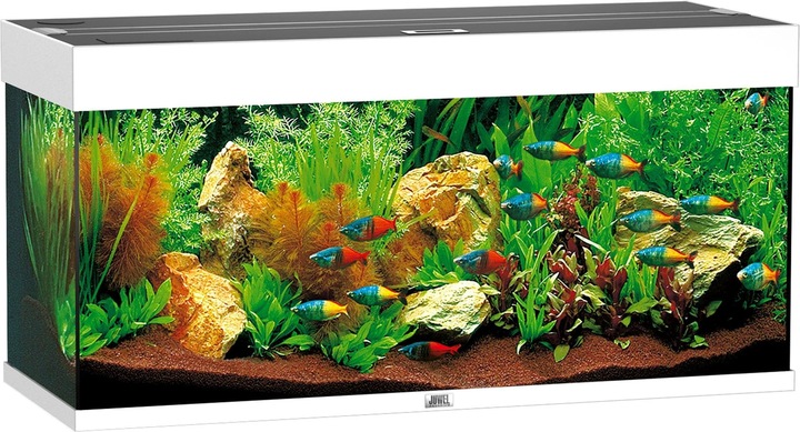 Immagine prodotto Juwel Aquarium Rio 180 LED (180 l)
