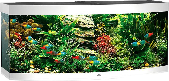 Image du produit Juwel Aquarium Vision 450 (450 l)