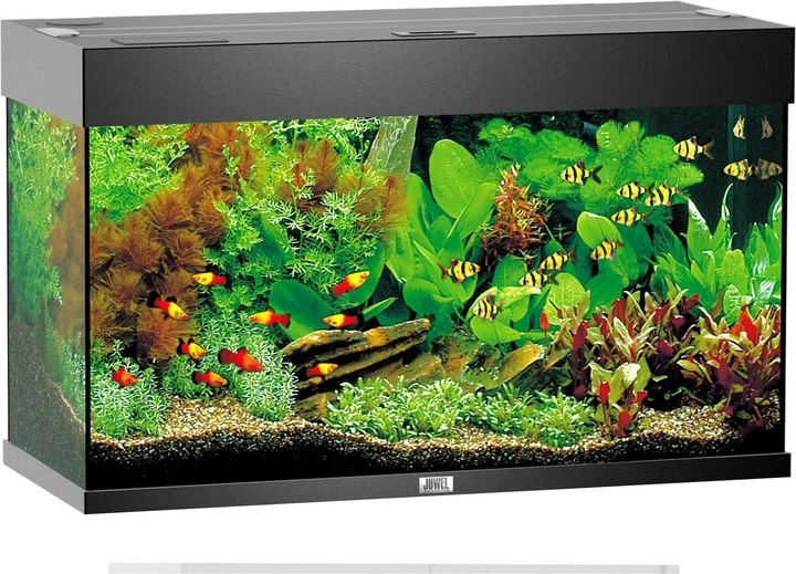 Juwel Aquarium Rio (125 l)