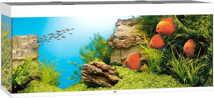 Immagine prodotto Juwel Aquarium Rio (450 l)