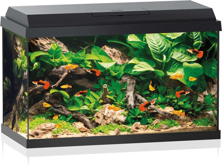 Immagine prodotto Juwel Aquarium Acquario Primo 70 LED nero (70 l)