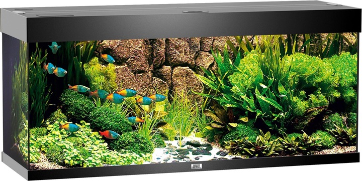 Immagine prodotto Juwel Aquarium Rio (240 l)