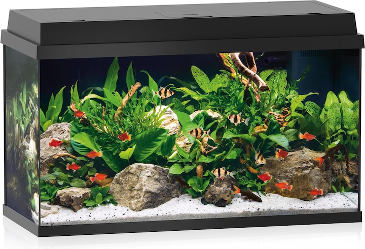 Juwel Aquarium Primo 110 (110 l)