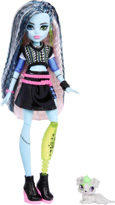 Immagine prodotto Monster High Frankie Puppe